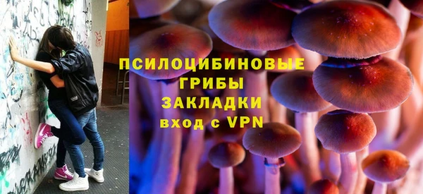 МДПВ Верхний Тагил