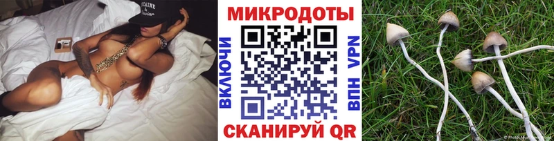 закладки  Жуковка  Галлюциногенные грибы Psilocybe 
