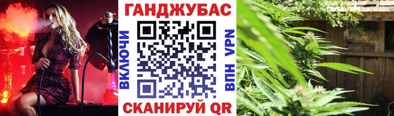Канабис план  дарк нет наркотические препараты  Жуковка 